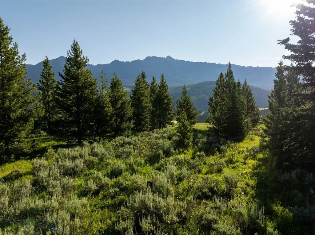 Tbd White Wolf Trail Big Sky MT 59716