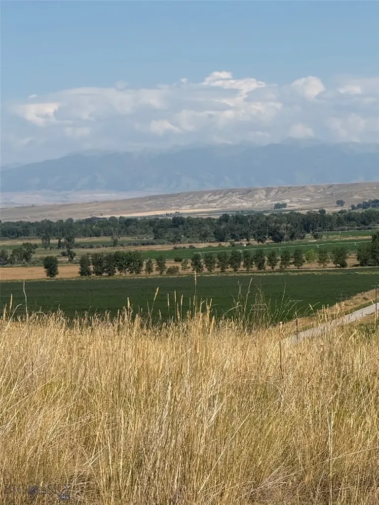 Tbd Targe Three Forks MT 59752