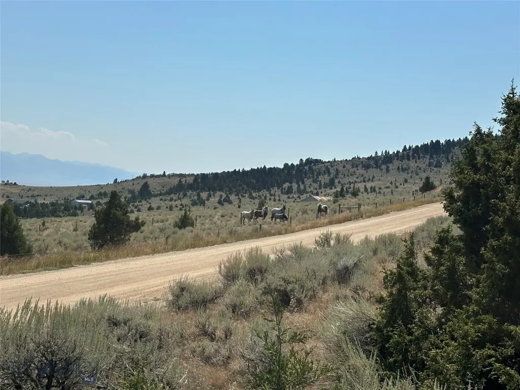 0000 Old Virgina City Highway Ennis MT 59729
