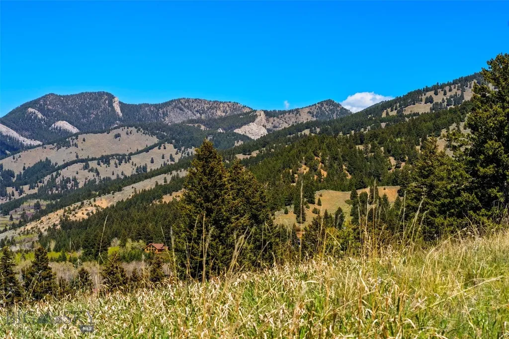 8663 E Panorama Bozeman MT 59715