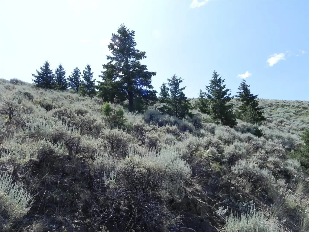 Lot 355 Pole Gulch Three Forks MT 59752