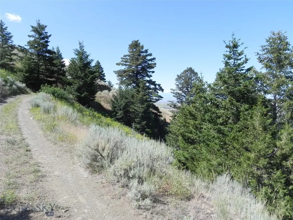 Lot 355 Pole Gulch Three Forks MT 59752