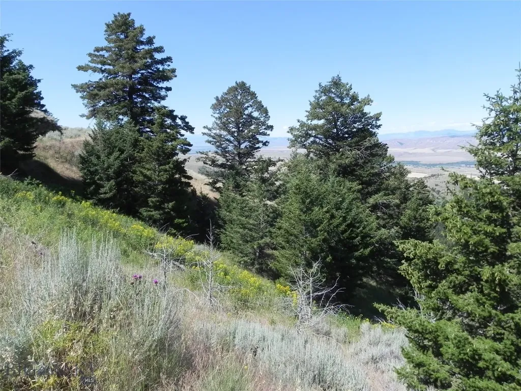 Lot 355 Pole Gulch Three Forks MT 59752
