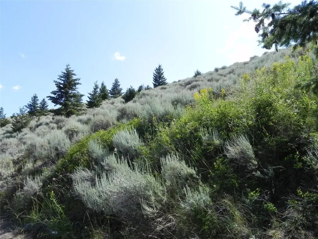Lot 355 Pole Gulch Three Forks MT 59752