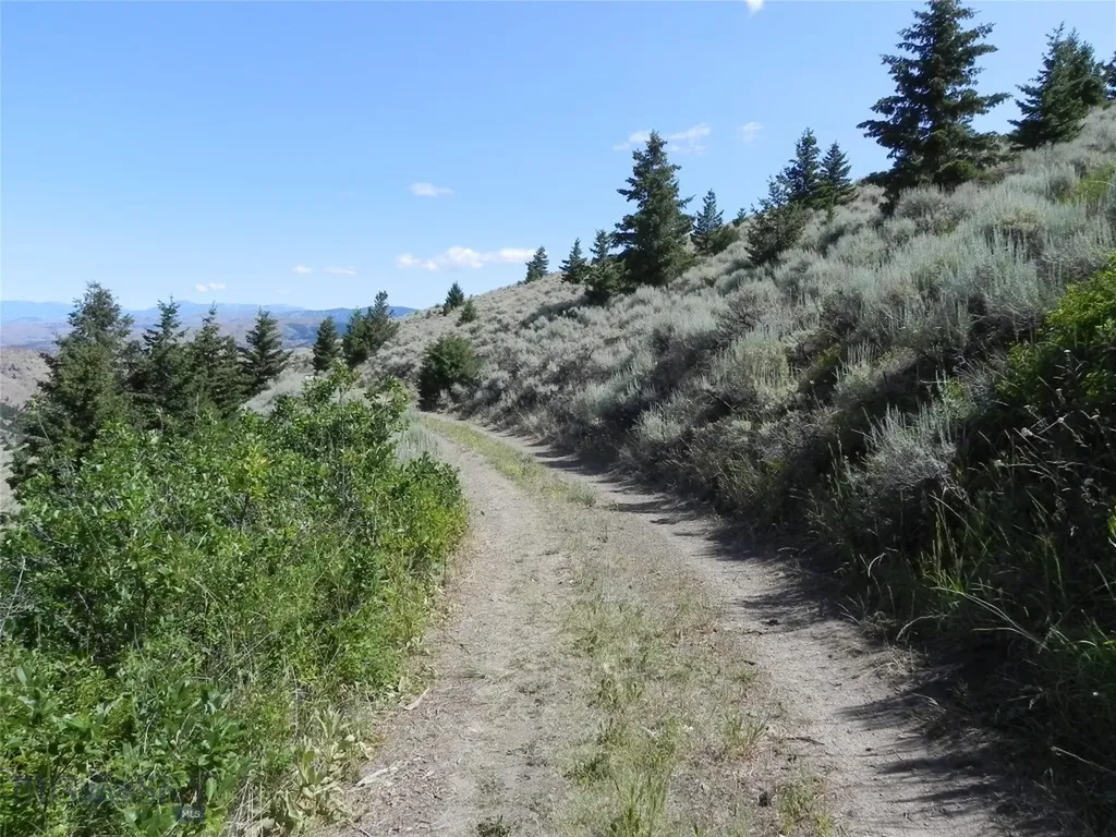 Lot 355 Pole Gulch Three Forks MT 59752