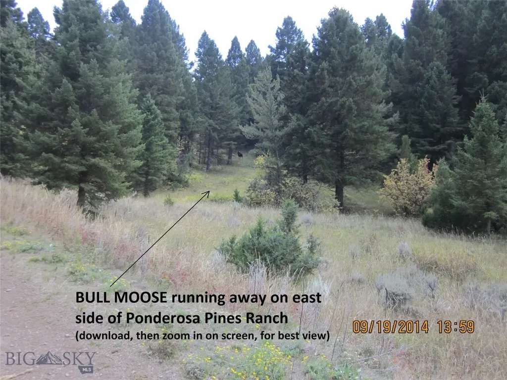Lot 769 NW Miller Canyon Road Three Forks MT 59752