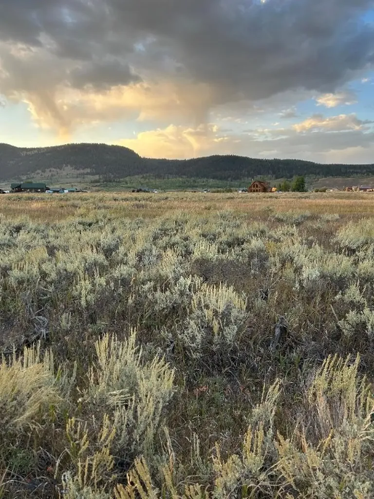 Tbd Fishing Lane West Yellowstone MT 59758