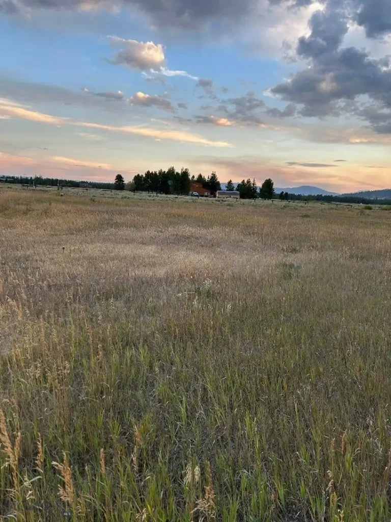 Tbd Fishing Lane West Yellowstone MT 59758