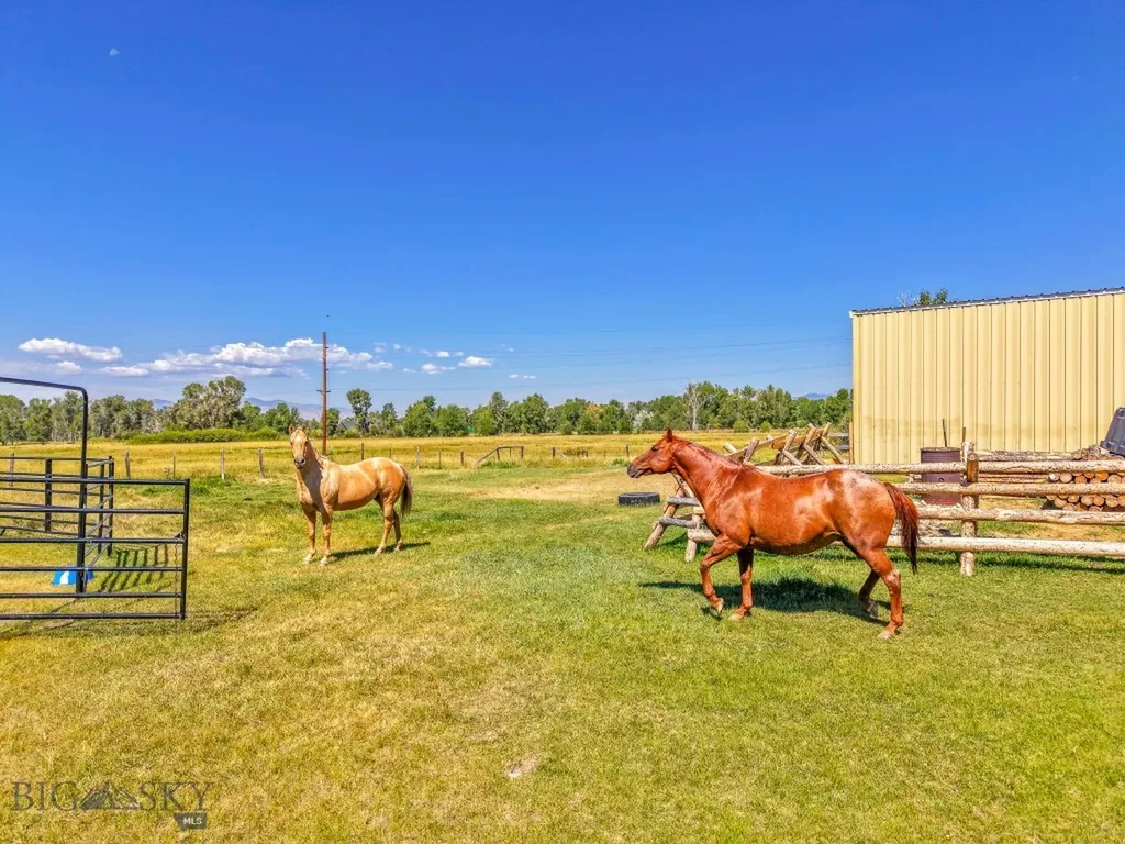 25 Duncan District Road Sheridan MT 59749