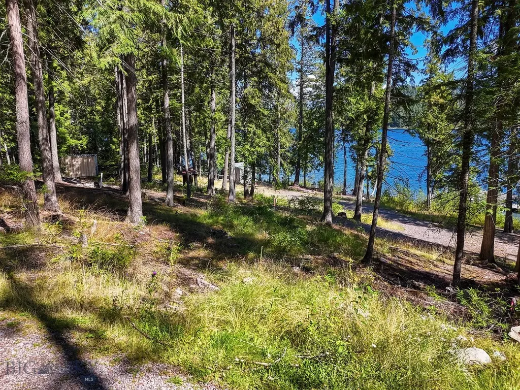 Tbd Swan Shores Lane Bigfork MT 59911