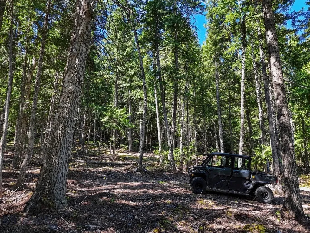 Tbd Swan Shores Lane Bigfork MT 59911