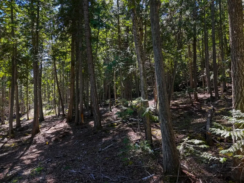 Tbd Swan Shores Lane Bigfork MT 59911