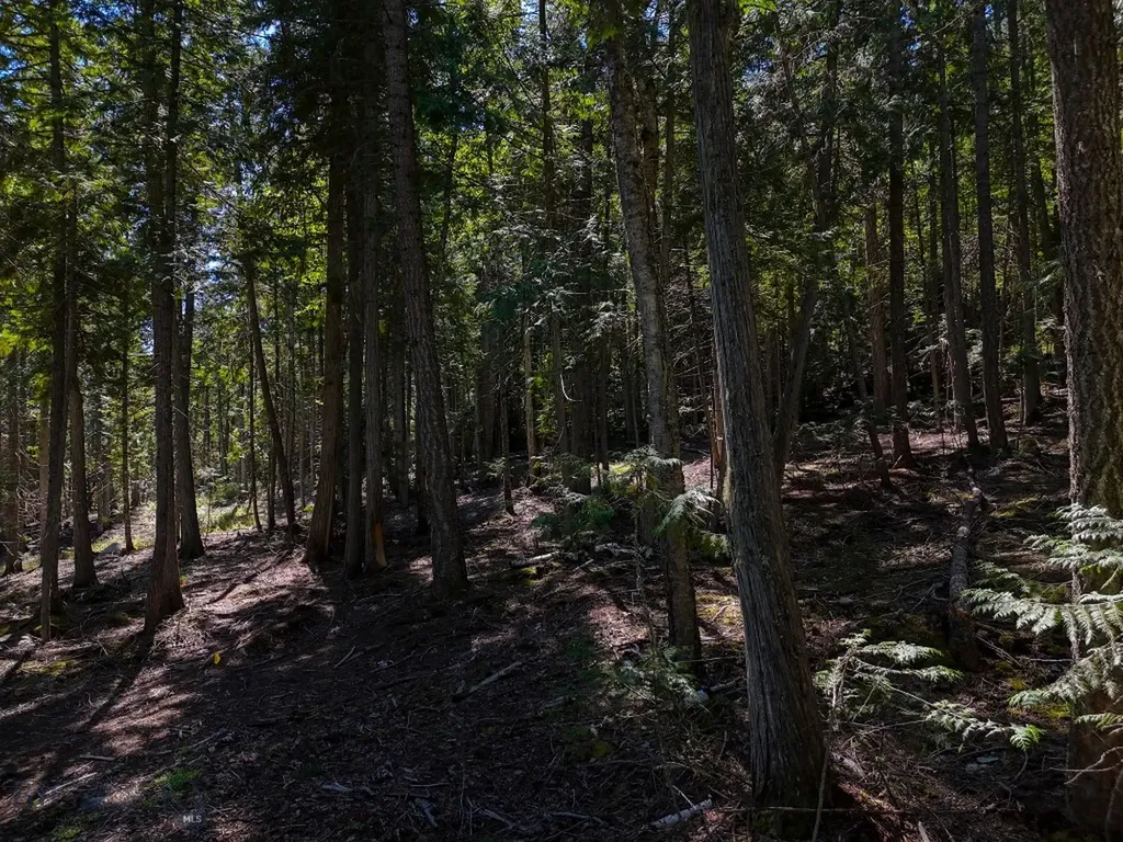 Tbd Swan Shores Lane Bigfork MT 59911