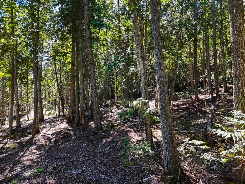 Tbd Swan Shores Lane Bigfork MT 59911