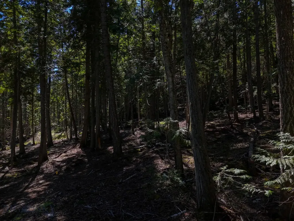 Tbd Swan Shores Lane Bigfork MT 59911