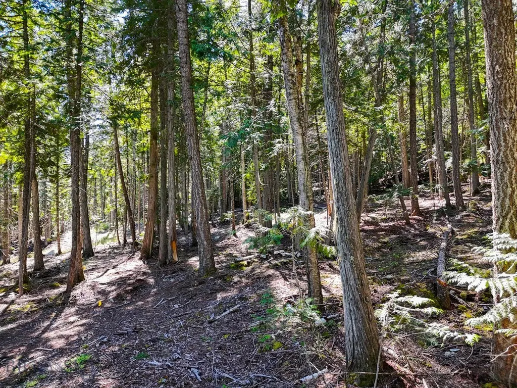 Tbd Swan Shores Lane Bigfork MT 59911