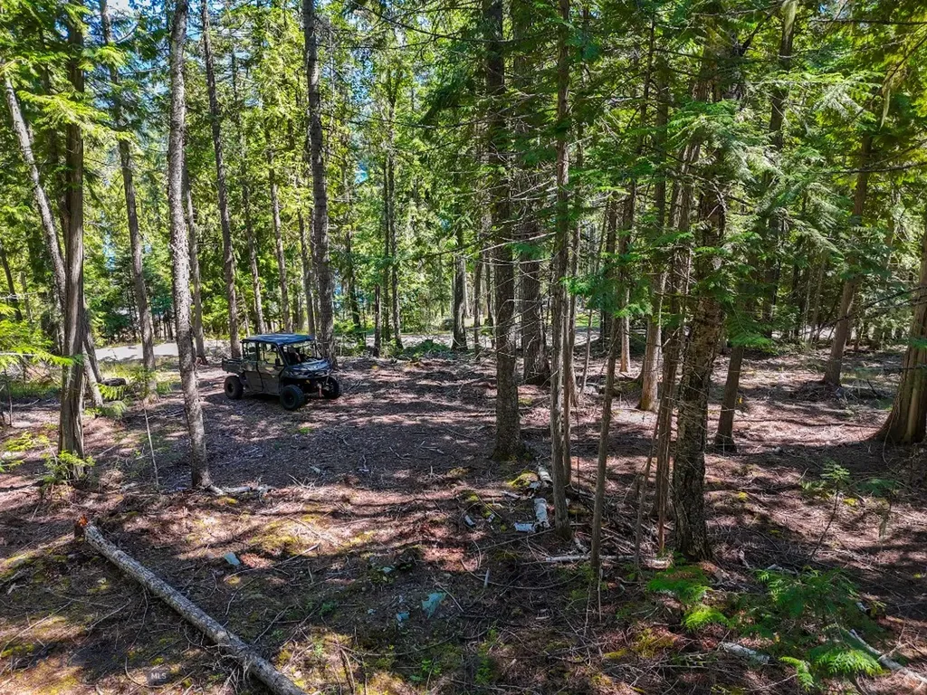 Tbd Swan Shores Lane Bigfork MT 59911