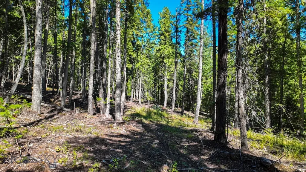 Tbd Swan Shores Lane Bigfork MT 59911