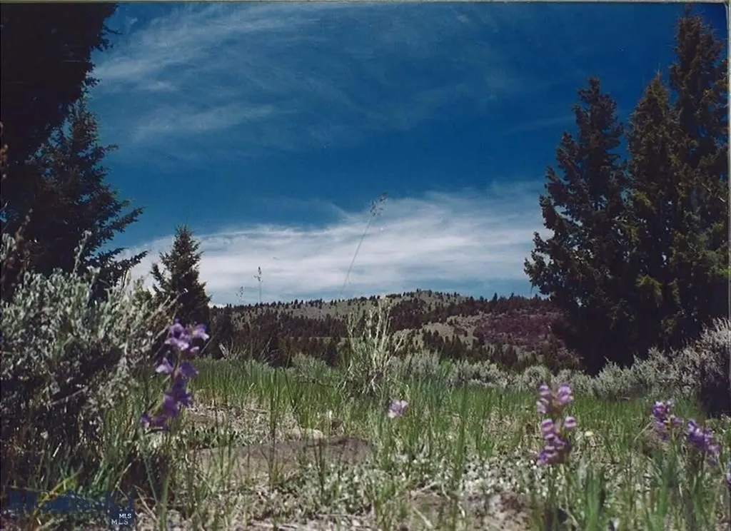 Tbd Lookout Trail Ramsay MT 59701