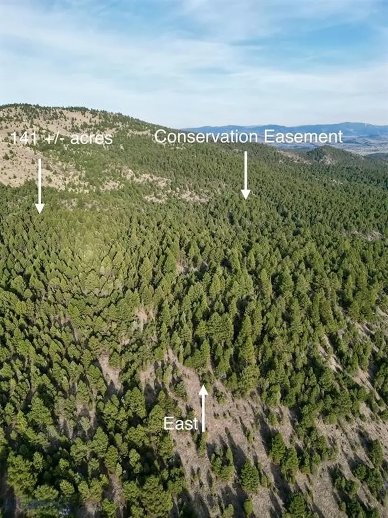 Tbd Lookout Trail Ramsay MT 59701
