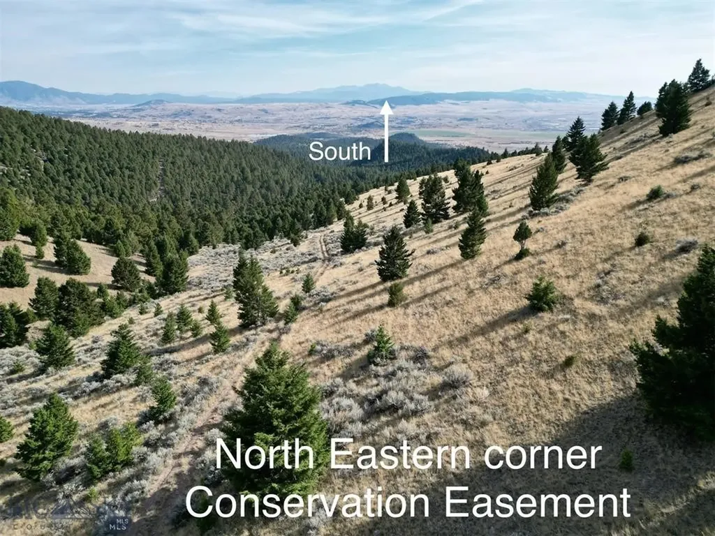 Tbd Lookout Trail Ramsay MT 59701