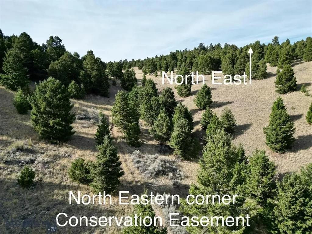 Tbd Lookout Trail Ramsay MT 59701