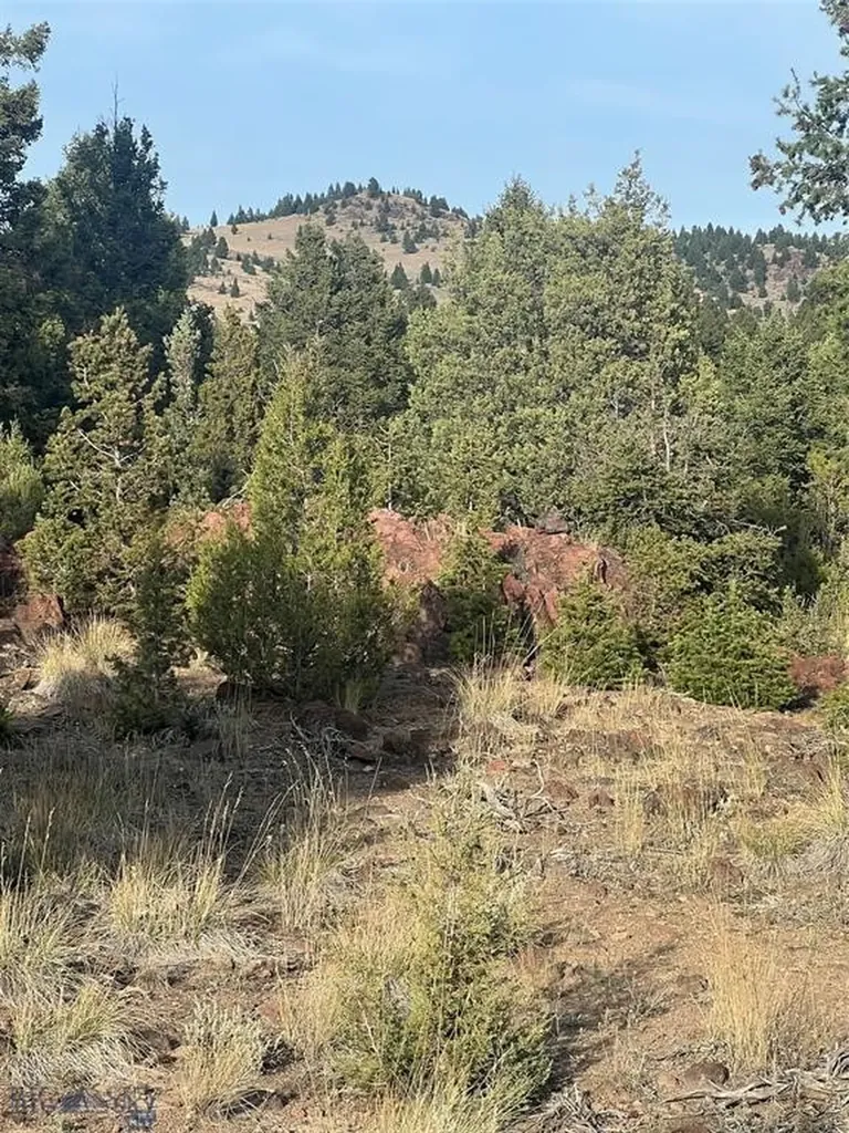 Tbd Lookout Trail Ramsay MT 59701