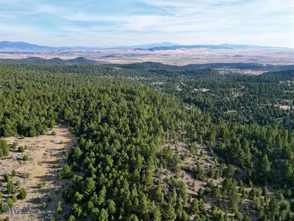 Tbd Lookout Trail Ramsay MT 59701