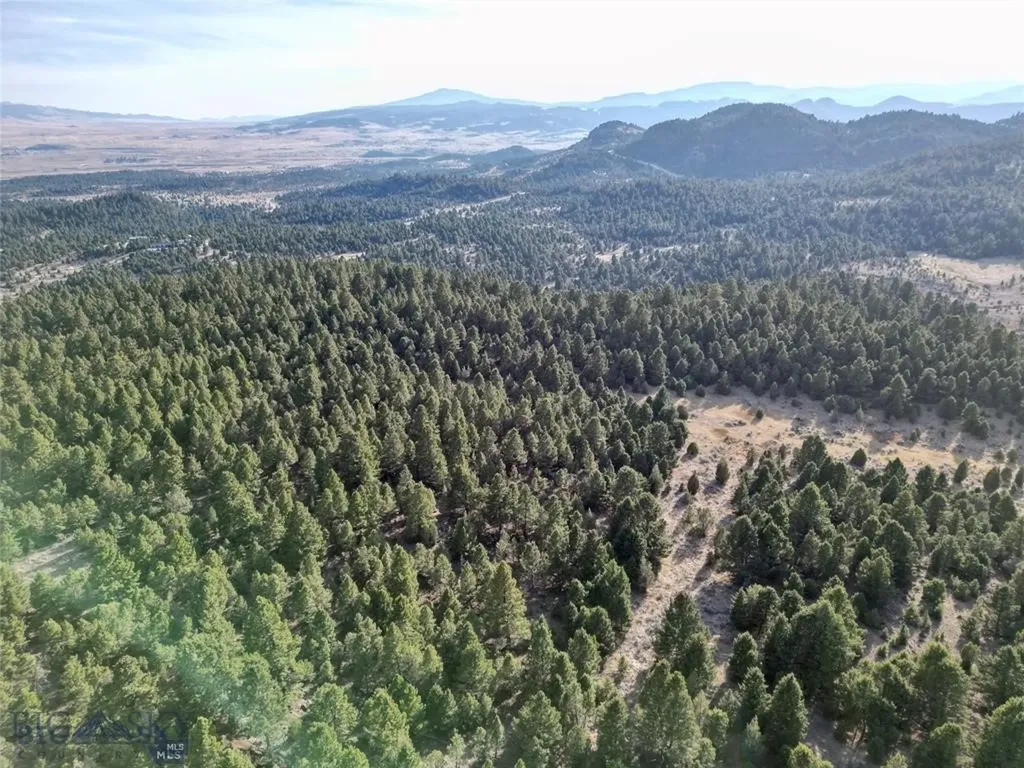 Tbd Lookout Trail Ramsay MT 59701