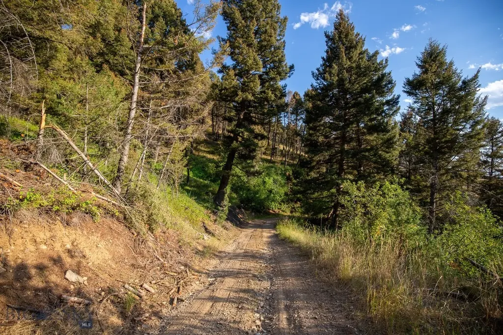 576 Wisconsin Creek Road Sheridan MT 59749