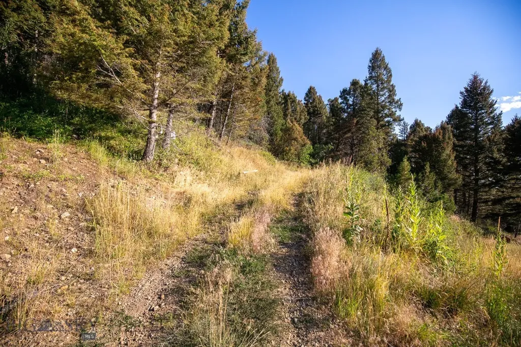 576 Wisconsin Creek Road Sheridan MT 59749