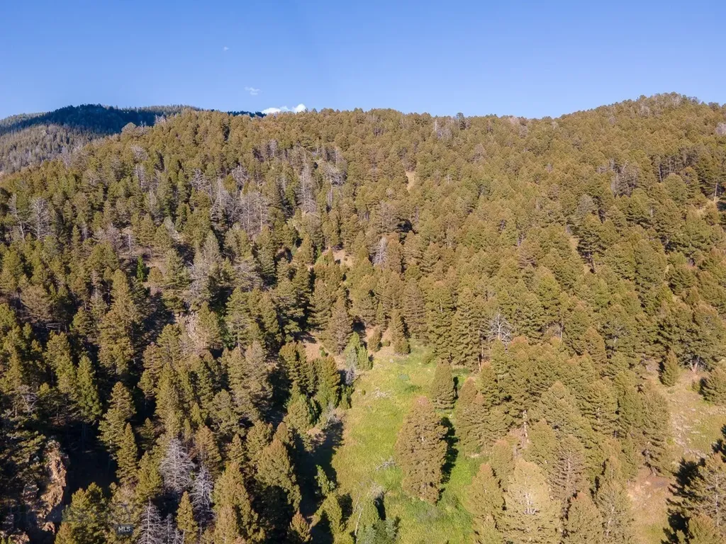 576 Wisconsin Creek Road Sheridan MT 59749