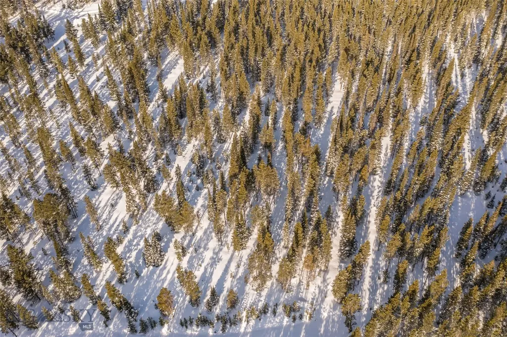 Lot 3 Lost Trail Road Big Sky MT 59716