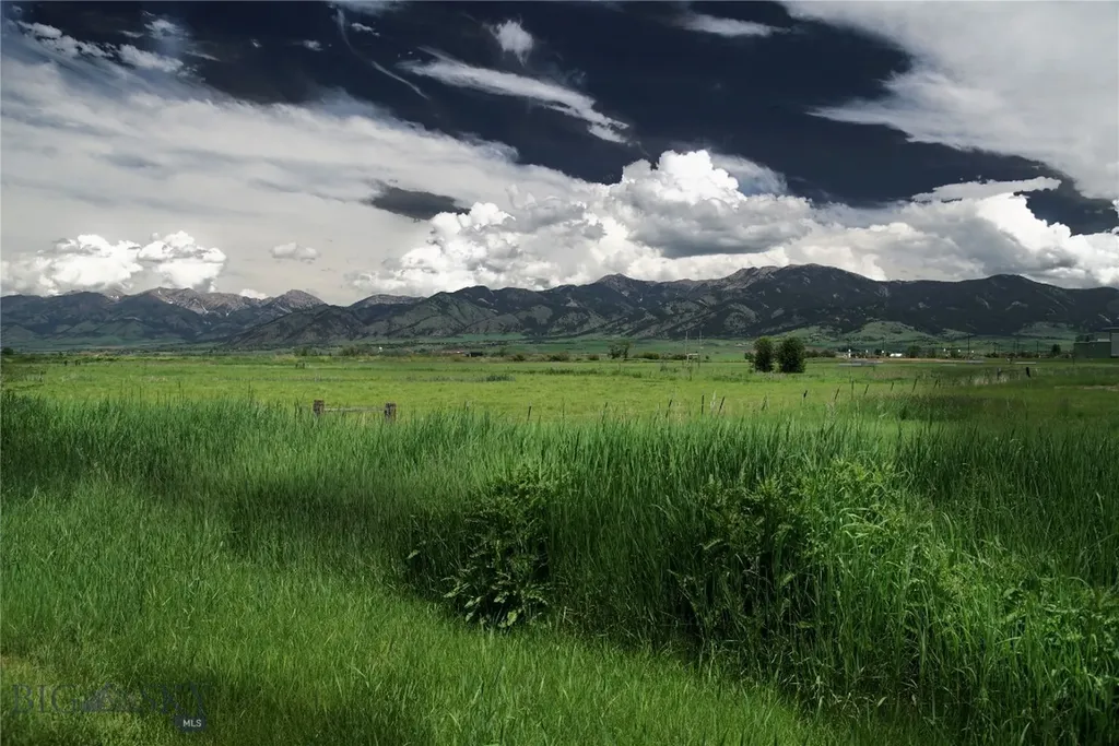 2538 Andalusian Avenue Bozeman MT 59718
