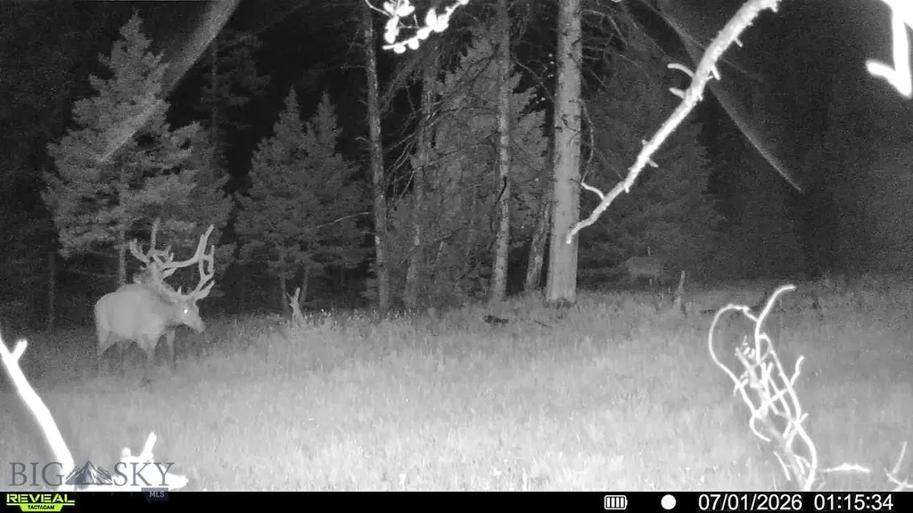 7379 Hahn Creek Road Elliston MT 59728