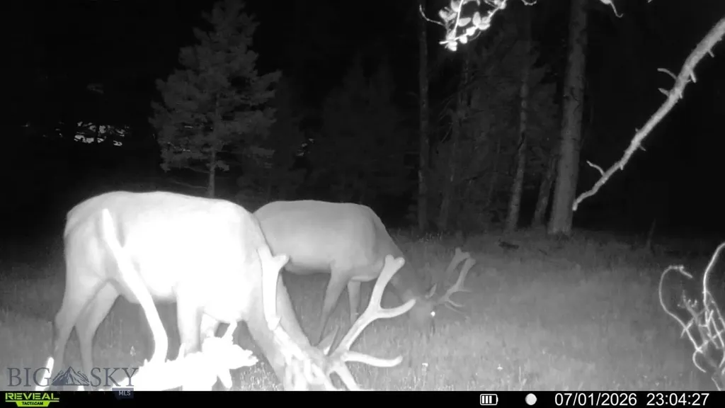 7379 Hahn Creek Road Elliston MT 59728