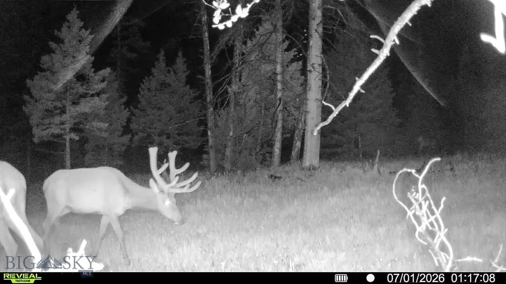 7379 Hahn Creek Road Elliston MT 59728