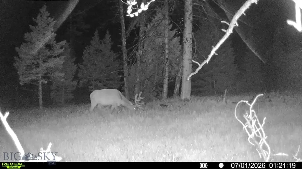 7379 Hahn Creek Road Elliston MT 59728