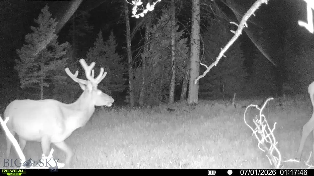 7379 Hahn Creek Road Elliston MT 59728