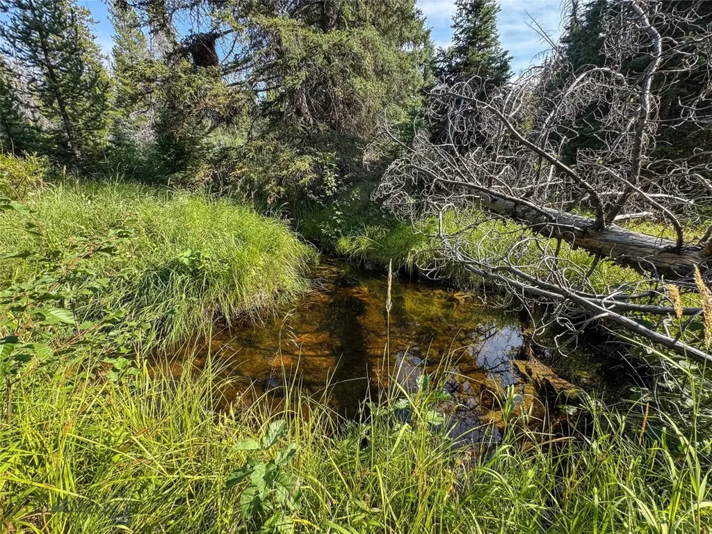 7379 Hahn Creek Road Elliston MT 59728