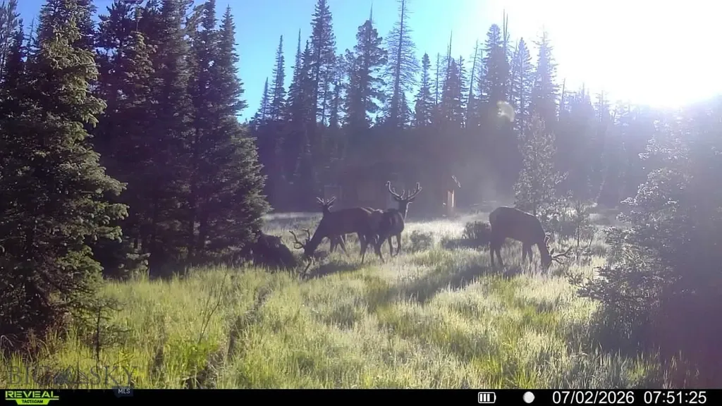7379 Hahn Creek Road Elliston MT 59728