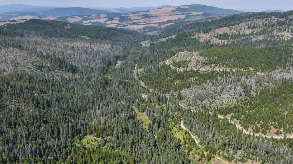 7379 Hahn Creek Road Elliston MT 59728