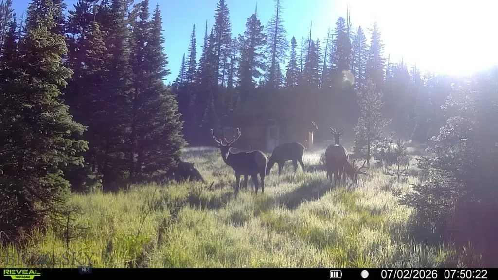 7379 Hahn Creek Road Elliston MT 59728