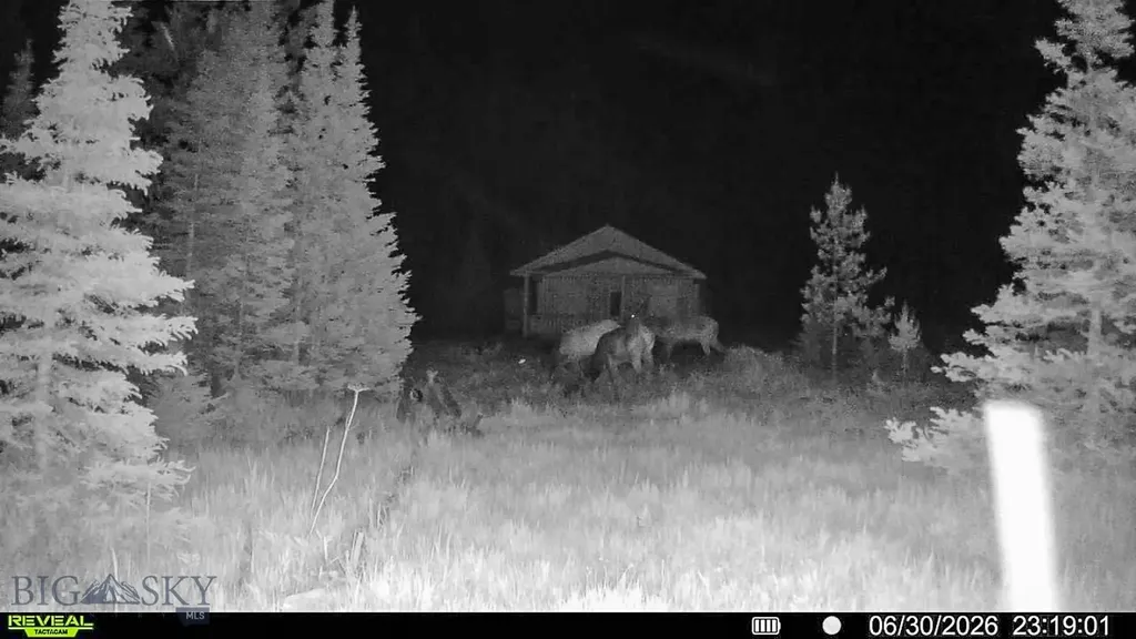 7379 Hahn Creek Road Elliston MT 59728