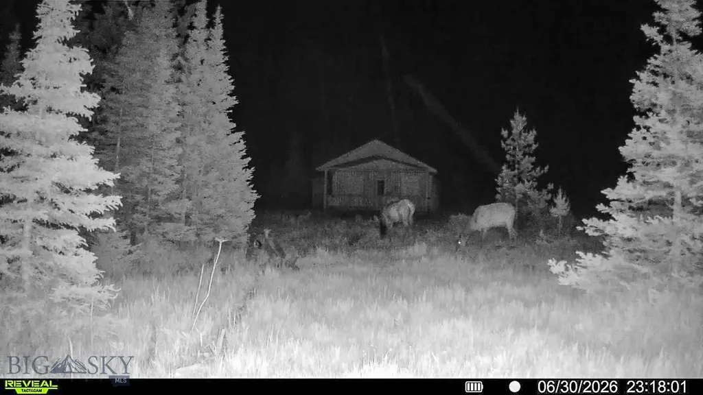 7379 Hahn Creek Road Elliston MT 59728