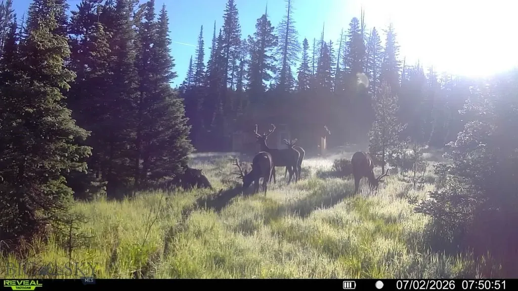 7379 Hahn Creek Road Elliston MT 59728