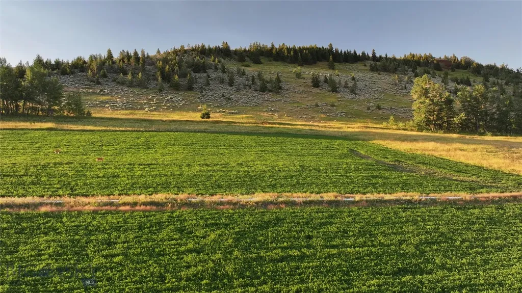 Tbd West Boulder Road Mcleod MT 59052