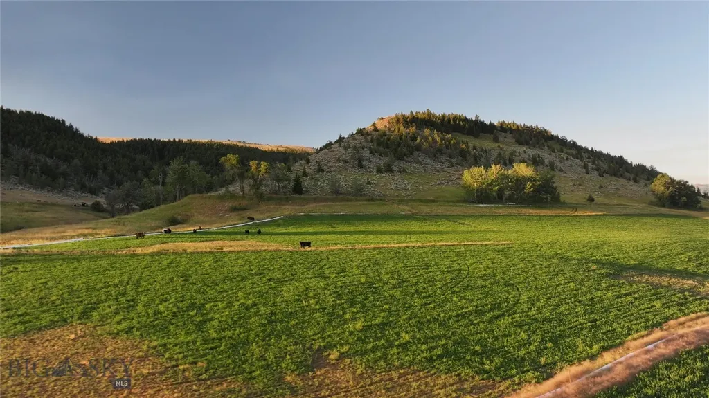 Tbd West Boulder Road Mcleod MT 59052