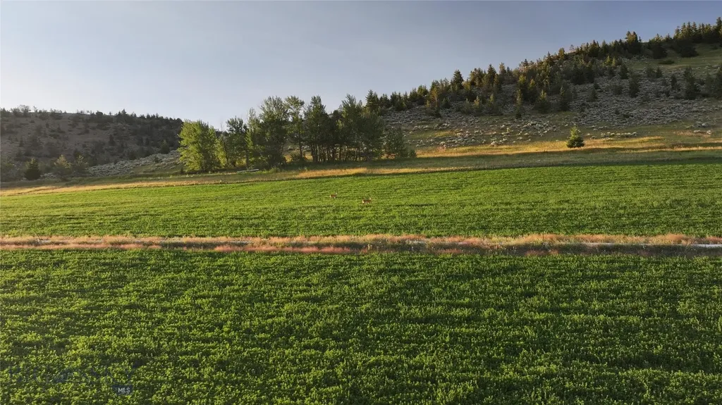 Tbd West Boulder Road Mcleod MT 59052