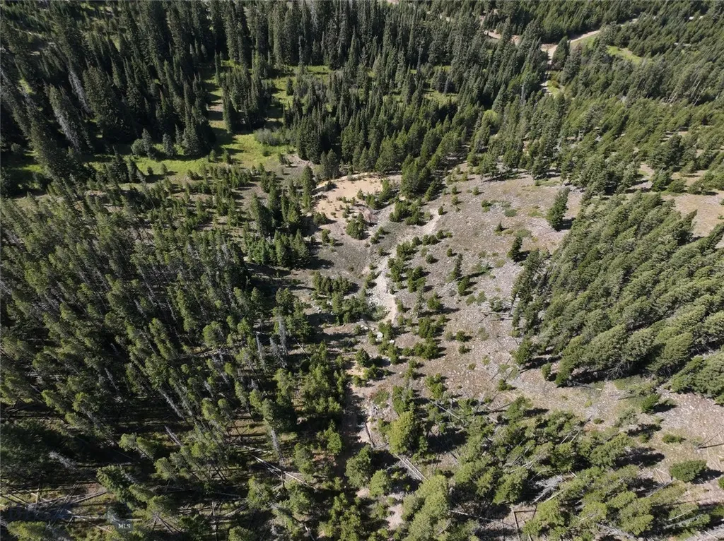 Nhn Bell Trail Philipsburg MT 59858